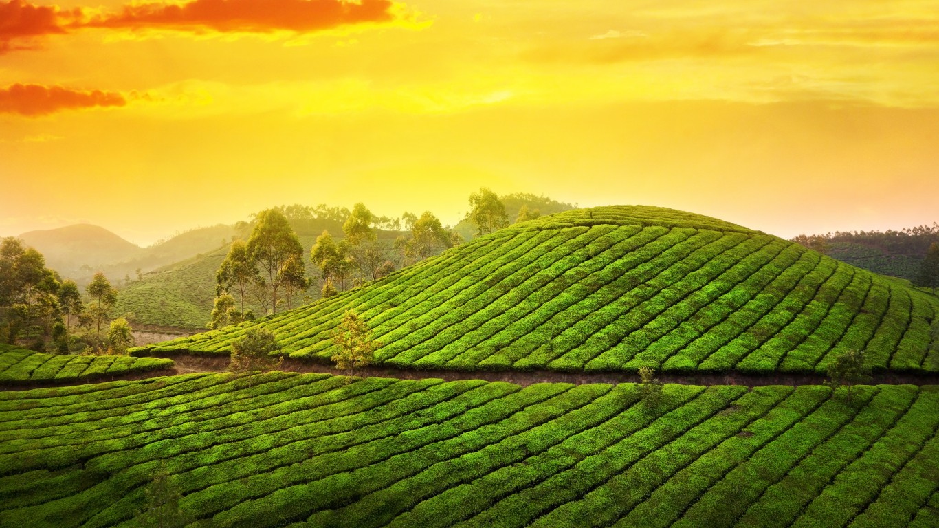 Little Kerela Tour Package